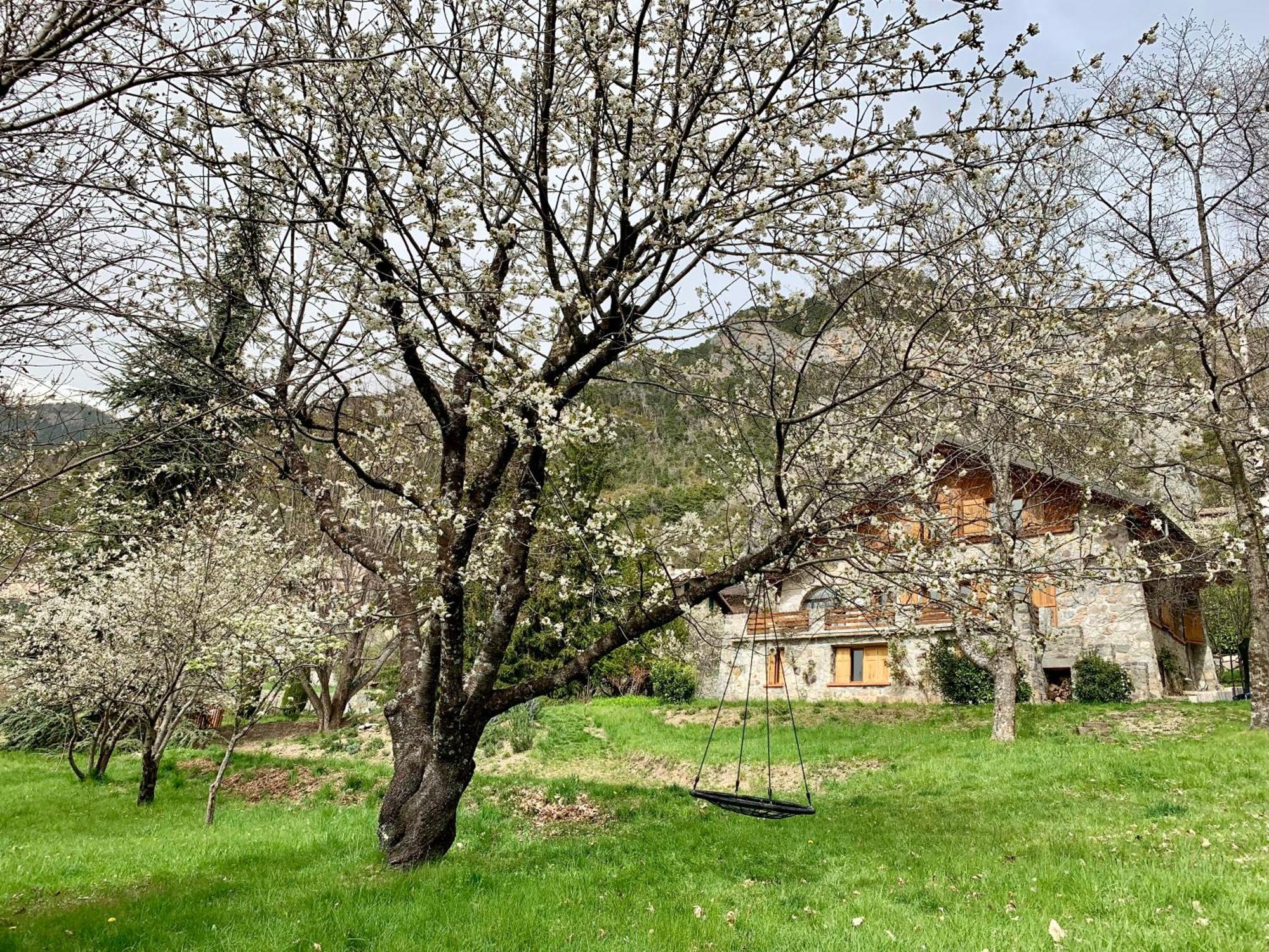 Chalet Le Tilleul Valdeblore Eksteriør billede